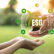 Sustainability and ESG